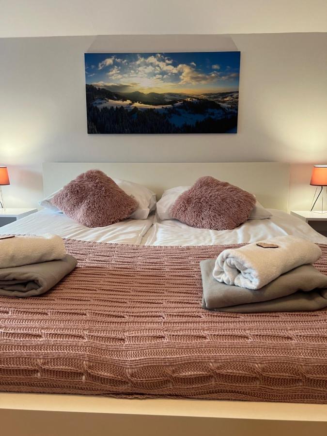 Przy Stoku I Potoku Apartment Weichsel